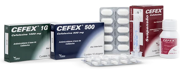 Antimicrobiano de amplo espectro, à base de cefalexina.